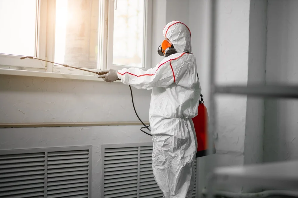 Professional mold remediation services in Monument, CO